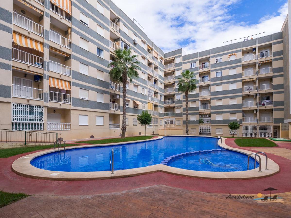 Apartament Marinero - El Edificio Navila XX - Torrevieja Eksteriør billede